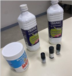 Produits ménagers « fait maison »