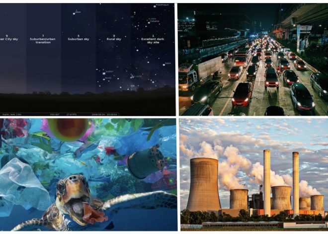 L’univers des polluants environnants